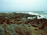 Namibia_94_406.jpg