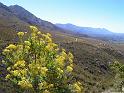 61_Swartberg_Pass